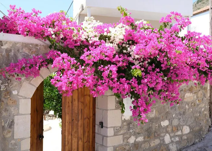 Casa Sofia Apt#1, By Hellocrete